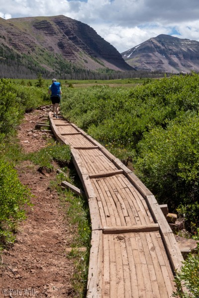 Lots of good trail work on this trail.  Being a high point for the state it is well travelled.