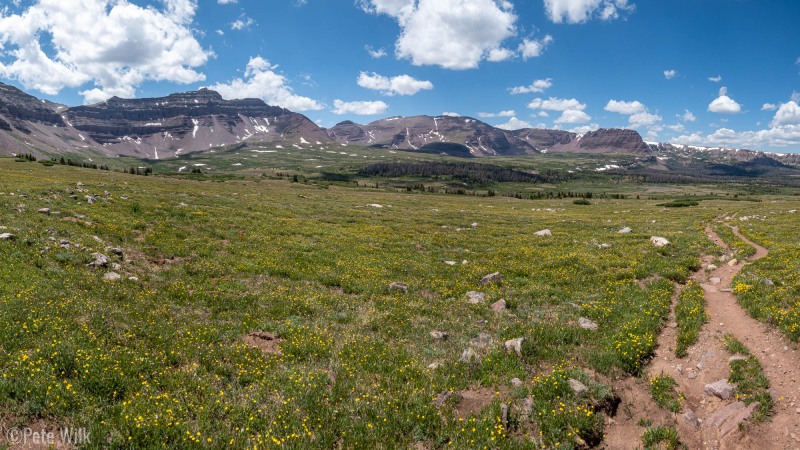 Nice alpine meadows.