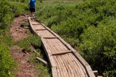 Lots of good trail work on this trail.  Being a high point for the state it is well travelled.