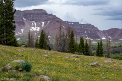 Looking at the building clouds and the incoming thunderstorm we weathered comfortably in our tent around dinner time.
