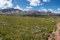 Nice alpine meadows.