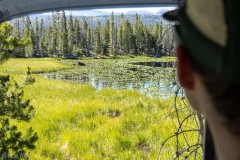 We stayed at the trailhead after hiking out.  The next day we did a little exploring in the van.  On the drive out Carly spotted a mother moose and calf munching on breakfast.