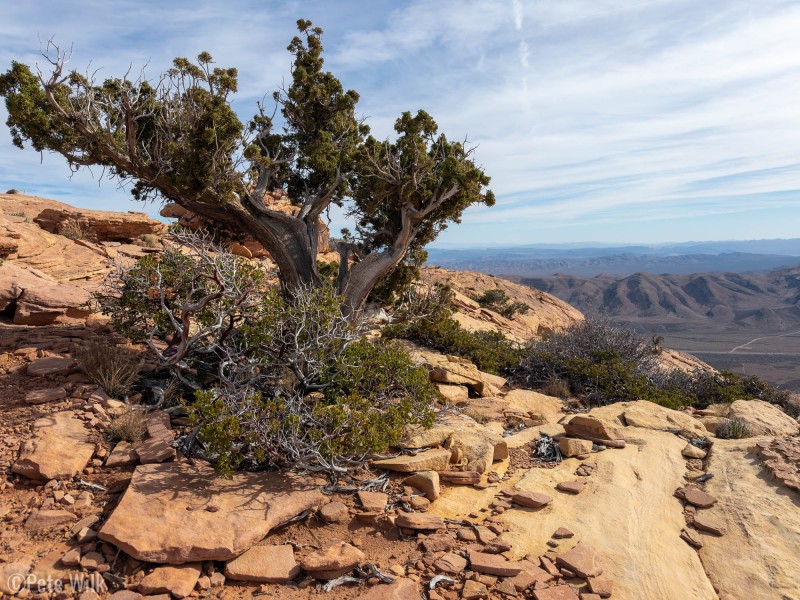 This is actually the same peak we summited the previous day by a climbing route.