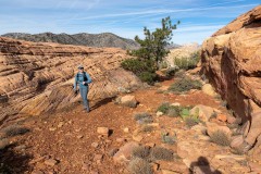 Trail run to give our toes a break from climbing shoes.
