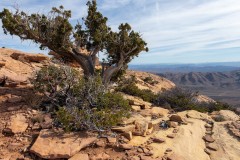 This is actually the same peak we summited the previous day by a climbing route.