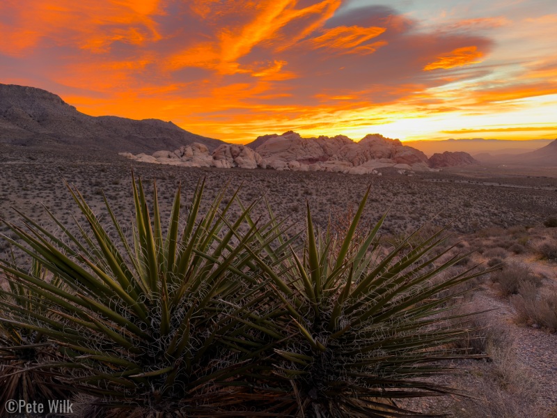 Amazing sunrise on our first day climbing in Red Rocks.  We were headed to Olive Oil (5.7) but had to stop at the overlook on the loop for this view.