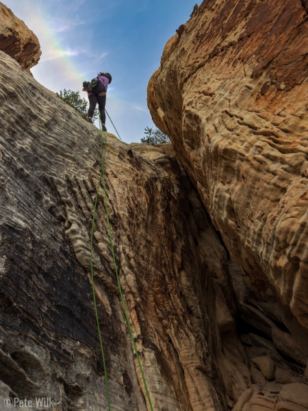 Carly farting rainbows.