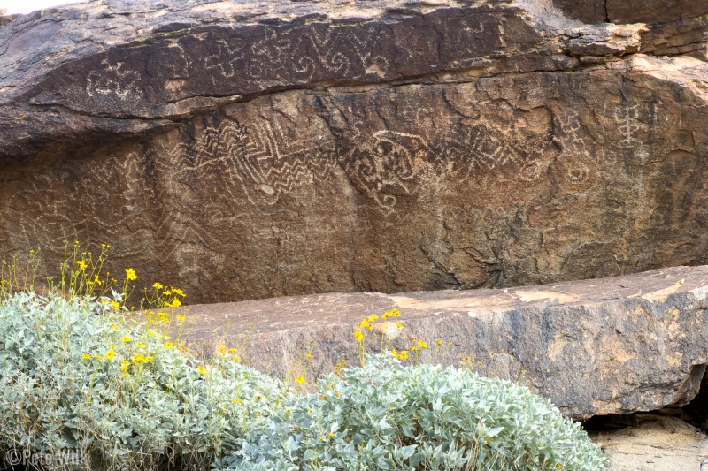 Mountain biking in Phoenix on Christmas Day we found a rock with petroglyphs.