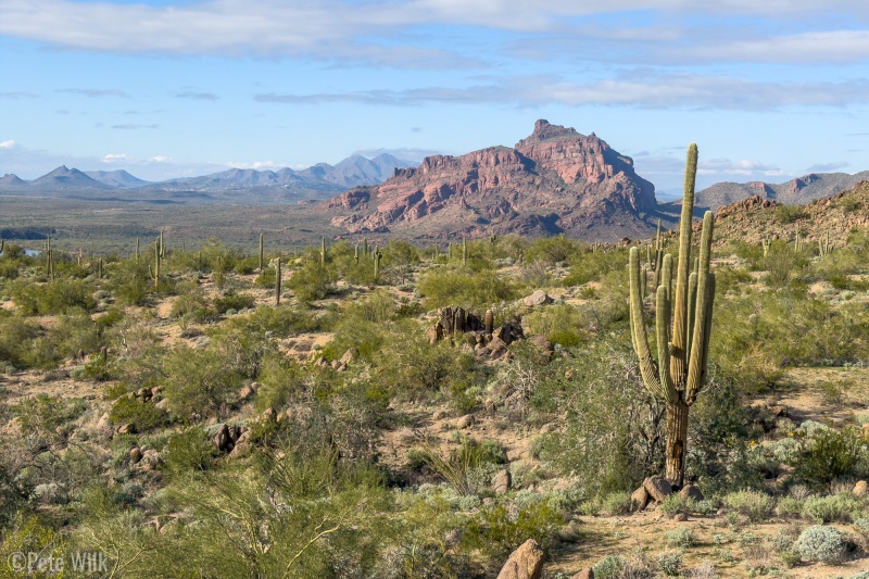 Nice views from the second place in Phoenix that we mountain biked on Christmas day.