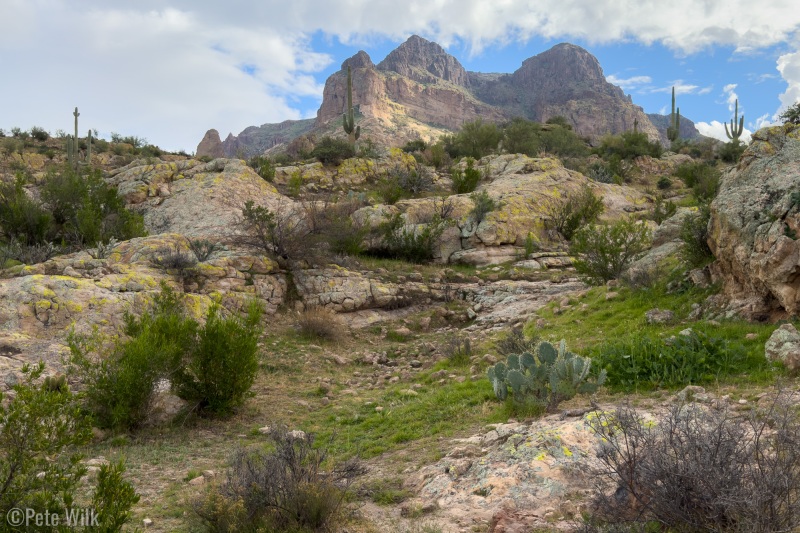 Both Carly and I were constantly surprised by how green everything was.