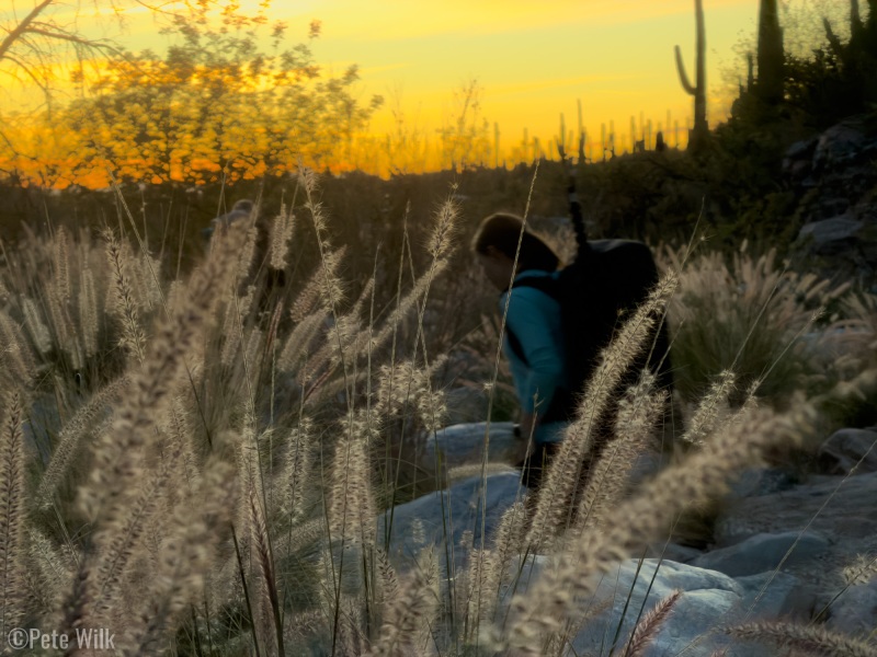 Carly on the walk out.