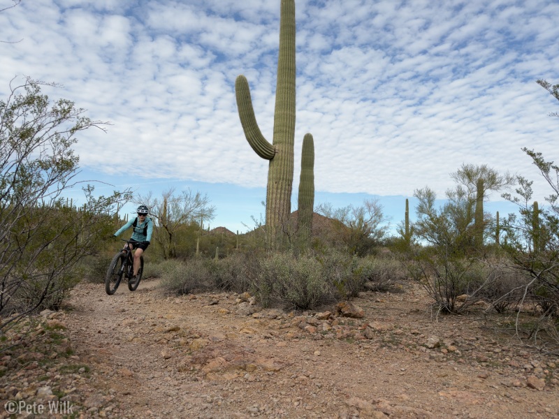 Got some mountain biking in Tucson as well.