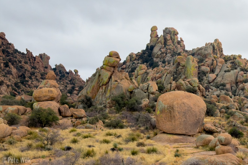 2026-01-01_56064