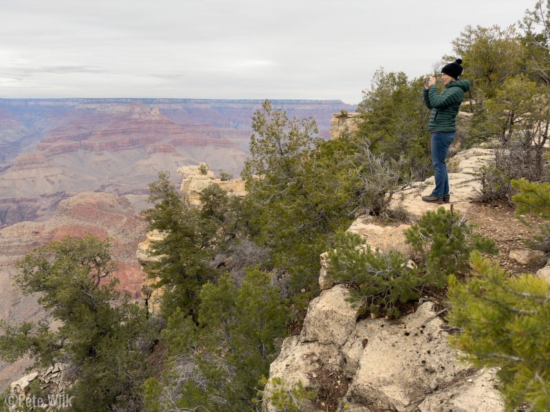 Carly checking out the enormity of the Grand Canyon.