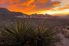 Amazing sunrise on our first day climbing in Red Rocks.  We were headed to Olive Oil (5.7) but had to stop at the overlook on the loop for this view.