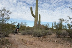 Got some mountain biking in Tucson as well.