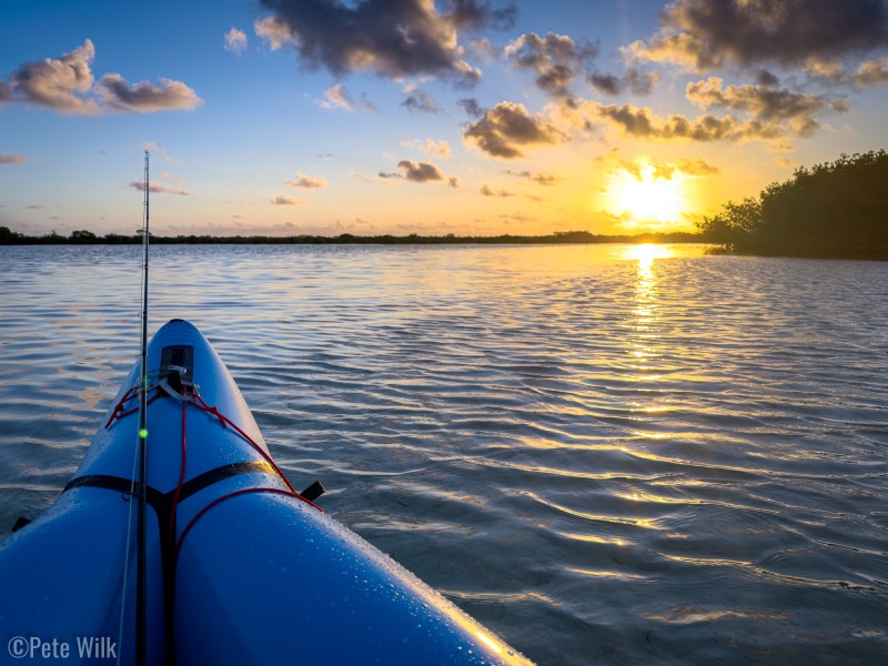 Pretty rad views from the boat over the mangroves.in the mornings and evenings.