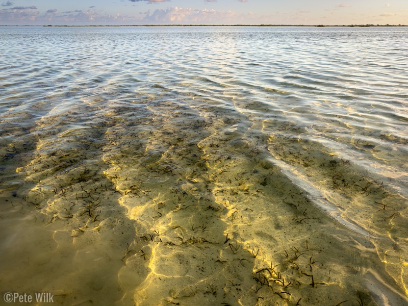 The water is so clear it is unbelievable.