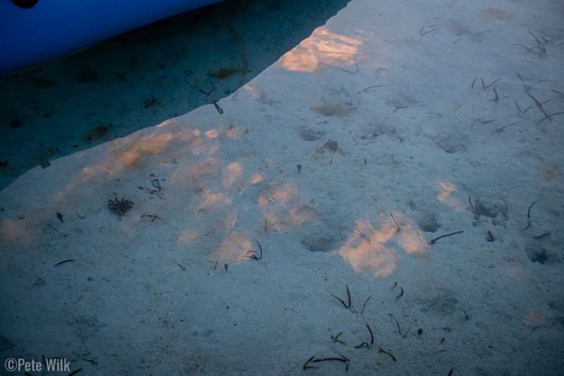 Water so clear and calm you don’t know it’s there aside from the reflection.