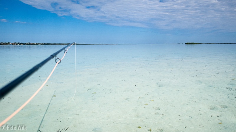 When you have such a calm day as this it is amazing.