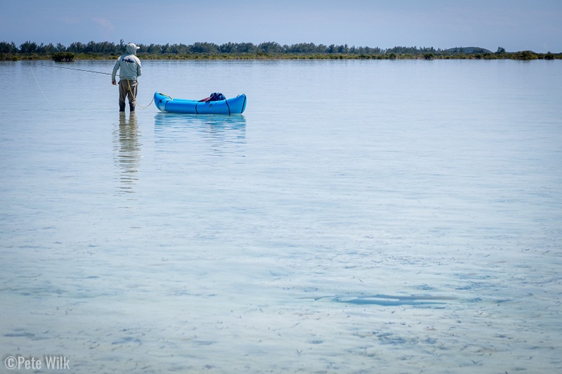 Bruce on the hunt, as is the lemon shark in the foreground.