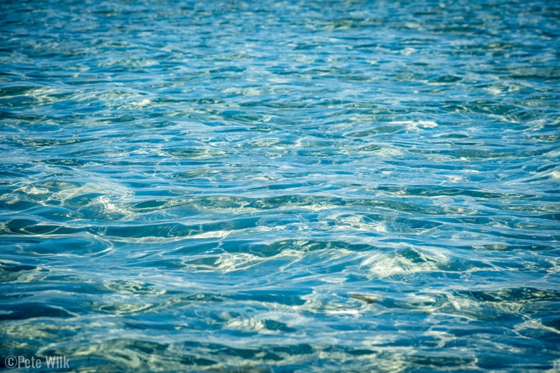 The sea of diamonds on our trip back to the house.