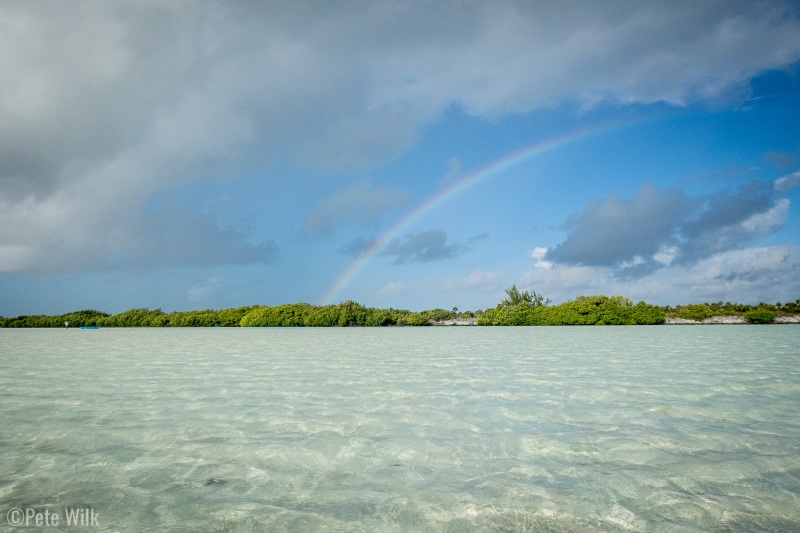 The benefit of the rain shower that passed through.