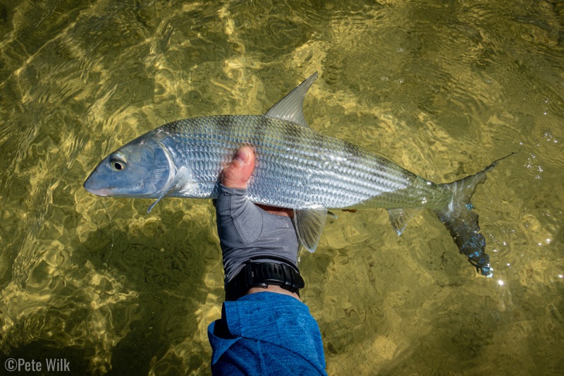 One of the last day’s catch.