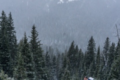 Doug checking out the snow.